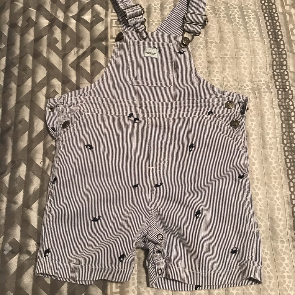 IZOD overalls